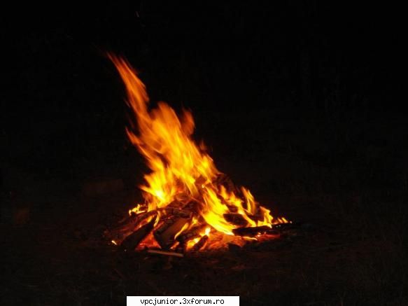 one 2007 ....bobo aniversary fire starter back action